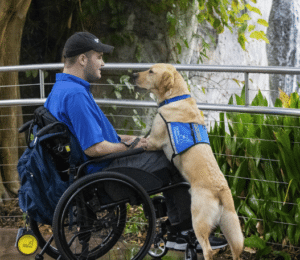man in a wheel chair with his service dog